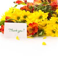 responsive-web-design-flower-00047-thank-you-03